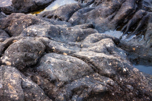 ROCAS NEGRAS DE CANARIAS