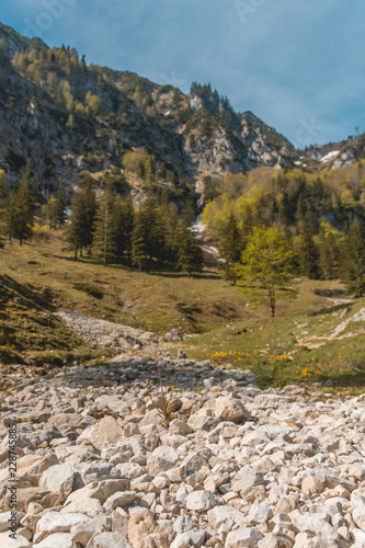 Beautiful alpine view on the Hochfelln - Bergen - Bavaria - Germany