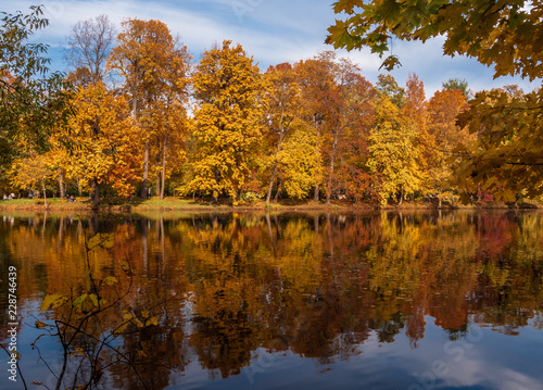 Autumn park on the shore of the pond
