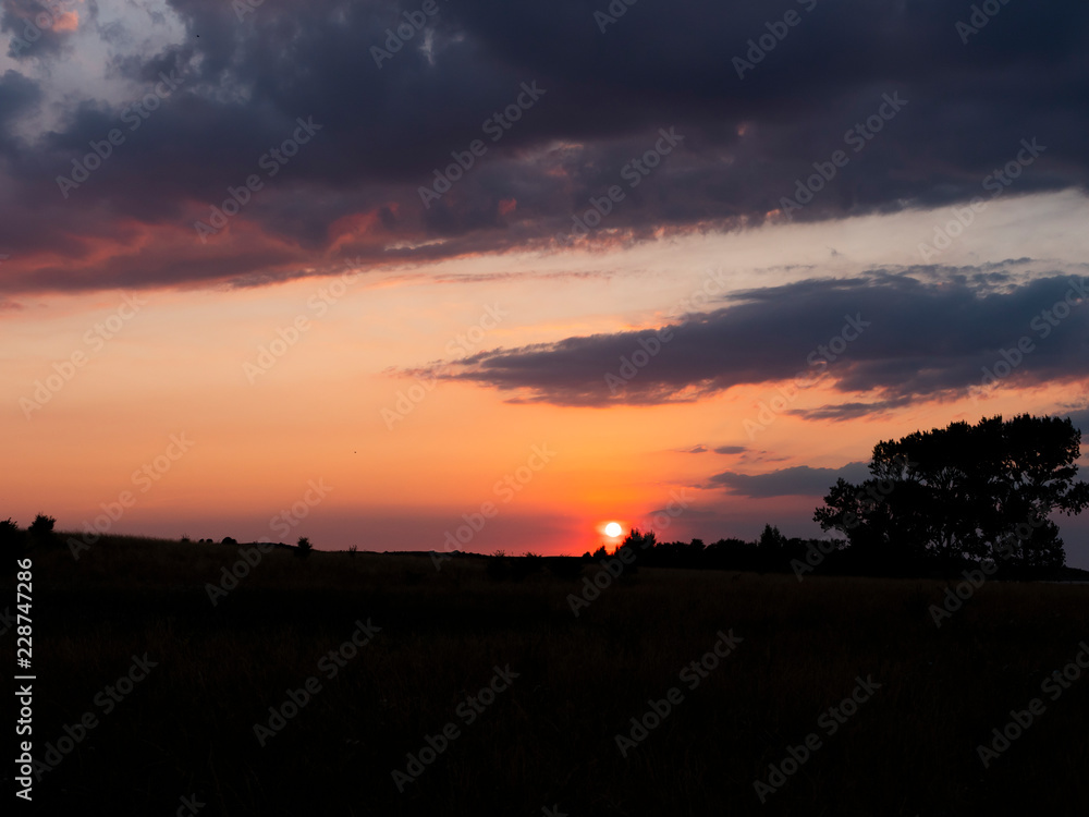 Sun setting over the savannah leaving a purple and orange sky