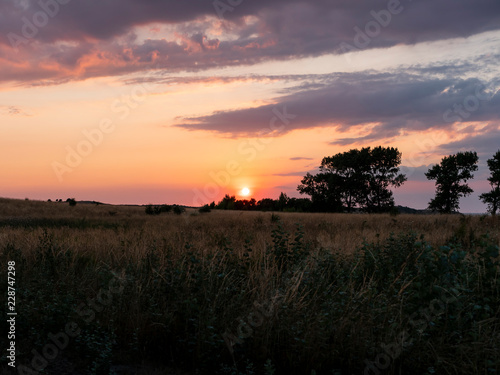 Sun setting over the savannah leaving a purple and orange sky