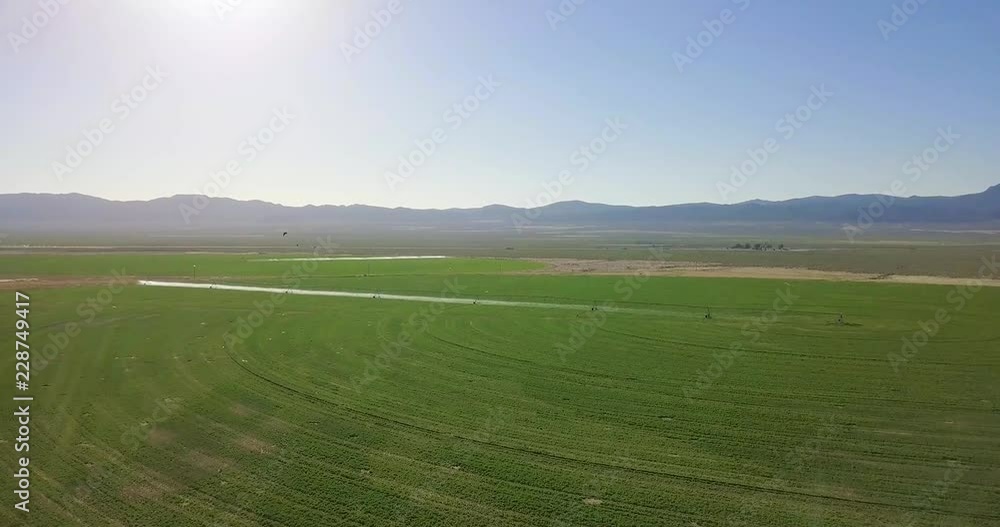 Flying with Birds over Desert Farmland Flying with Birds over Desert Farmland