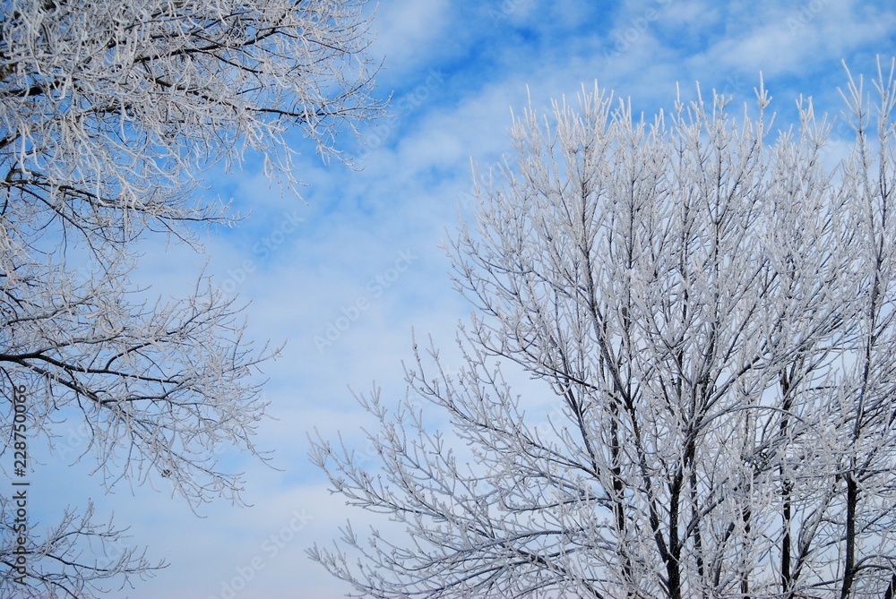 winter frost. winter-tide, winter-time. a deposit of small white ice crystals formed on the ground or other surfaces when the temperature falls below freezing. winter frost. winter-tide, winter-time. a deposit of small white ice crystals formed on the ground or other surfaces when the temperature falls below freezing.