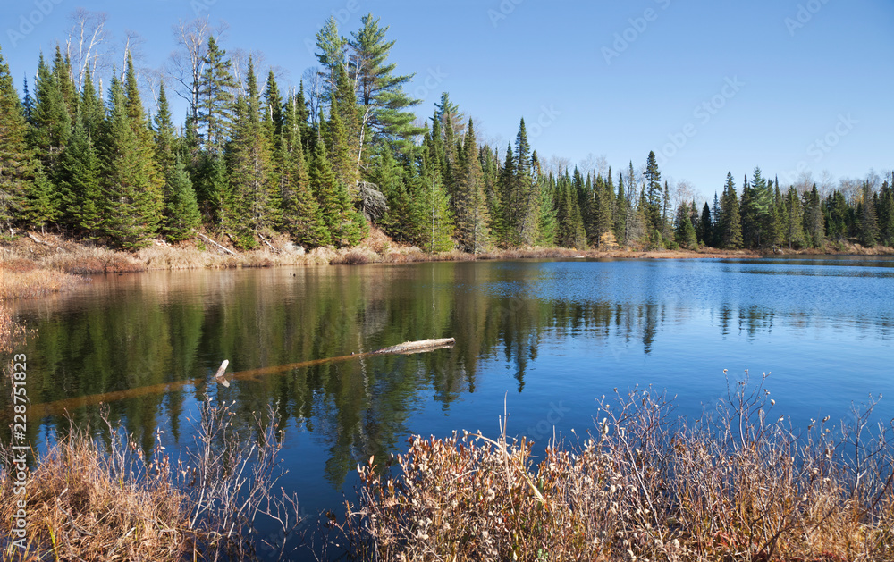 Small lake in northern Minnesota with beautiful blue water and pine trees on the shore