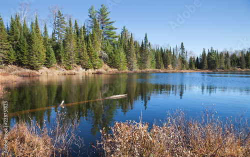 Small lake in northern Minnesota with beautiful blue water and pine trees on the shore