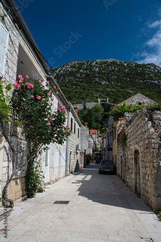 Ston  Dubrovnik-Neretva  Kroatien
