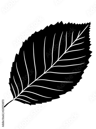 schwarz buche blatt baum pflanze form clipart design wald grün blätter strauch busch blüte blume
