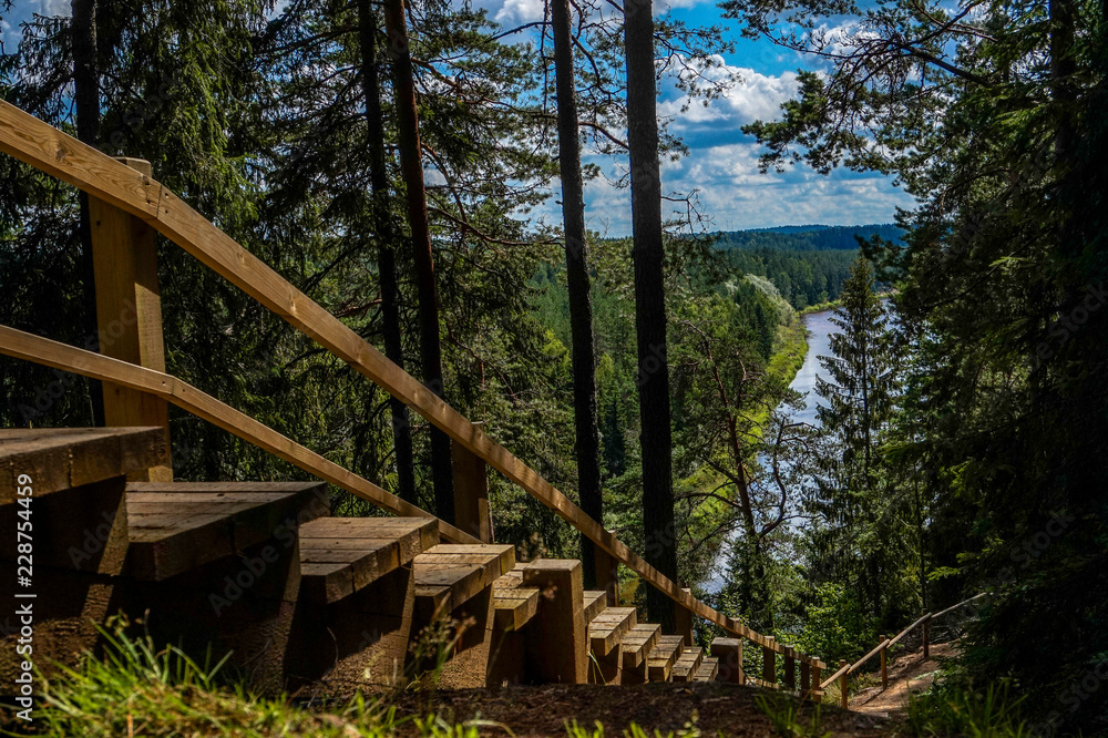 Nature trail stairs high on the forest hill