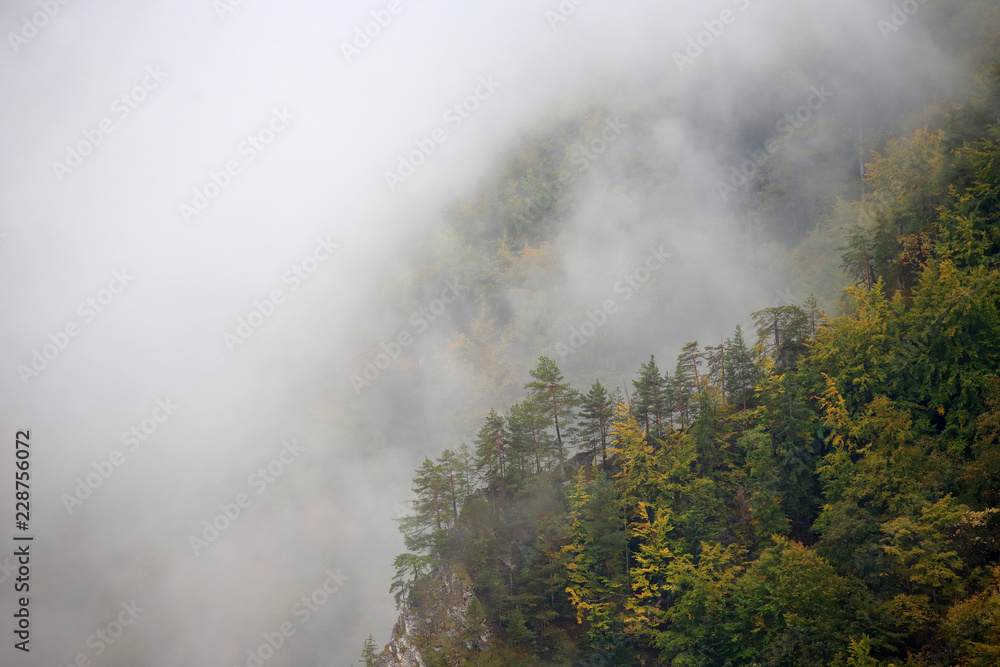 Pieniny w jesiennych barwach widziane z Sokolicy