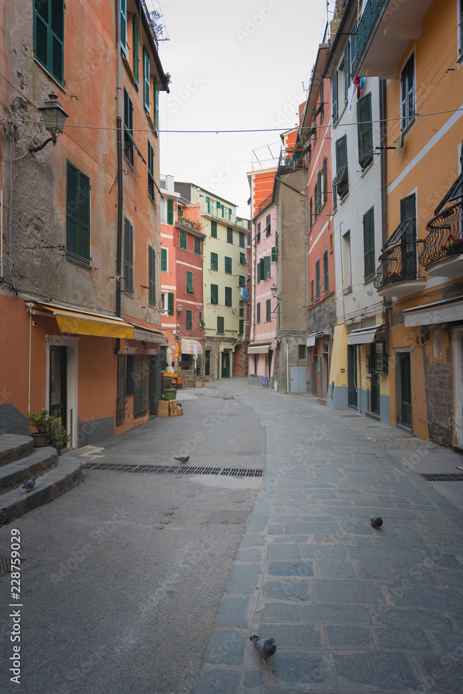 Historic buildings of Vernazza, Liguria, Italy, typical street