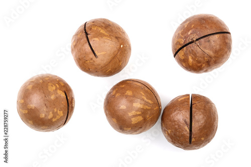 unshelled macadamia nuts isolated on white background. Top view. Flat lay pattern