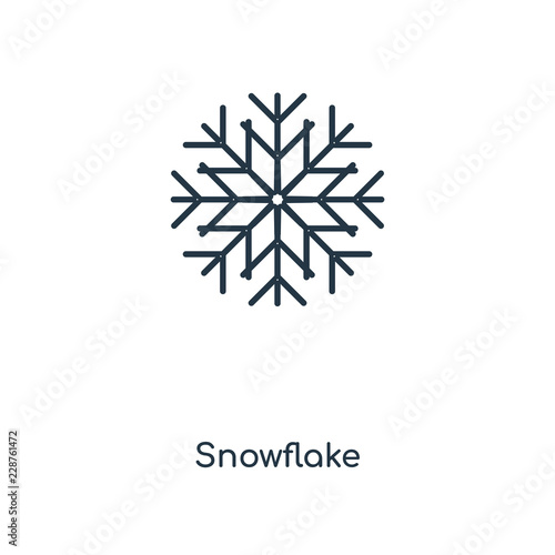 snowflake icon vector