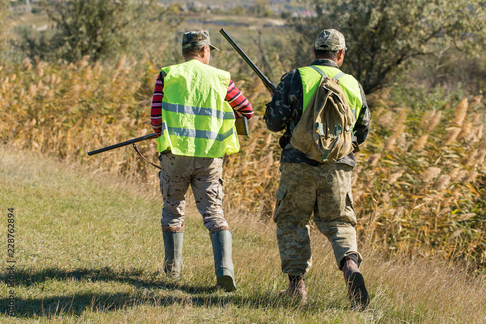 Hunters with a german drathaar and spaniel, pigeon hunting with dogs in reflective vests Hunters with a german drathaar and spaniel, pigeon hunting with dogs in reflective vests