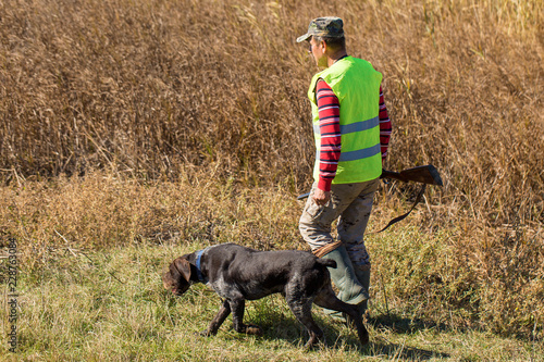 Hunters with a german drathaar and spaniel, pigeon hunting with dogs in reflective vests © Mountains Hunter
