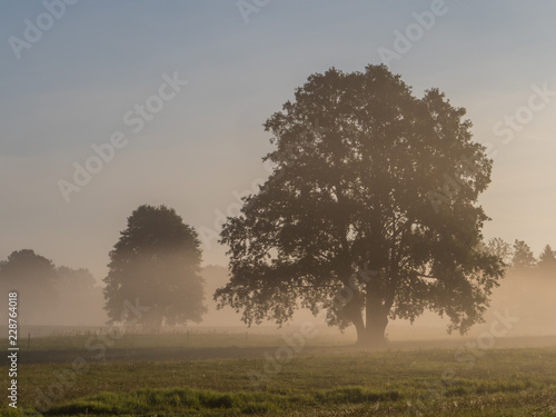 podlasie  Podlachia  Podlasko  Podlasze