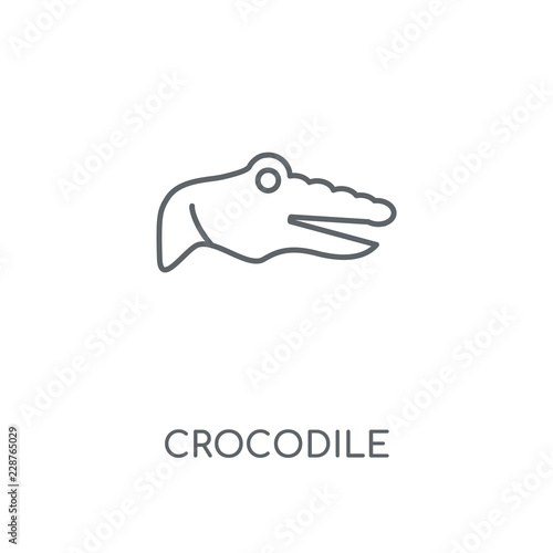 crocodile icon
