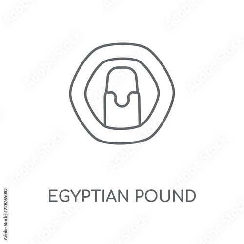 egyptian pound icon photo