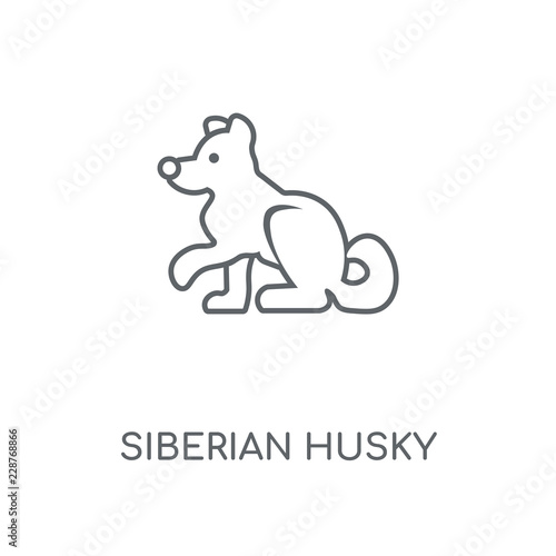 siberian husky icon