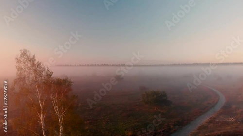Aerial view panning up with a birch in the foreground and revealing the wider moorland landscape covered in a blanket of early morning mist and dew with in the background treetops of the forest behind photo