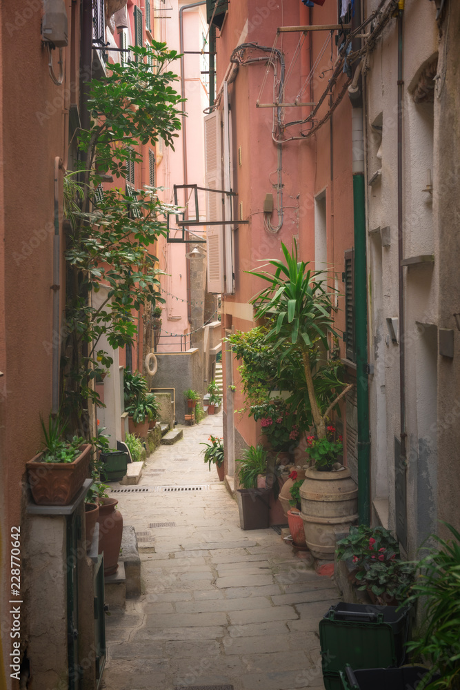 Old street decorated with green plants, Vernazza, Cinque Terre, Italy.