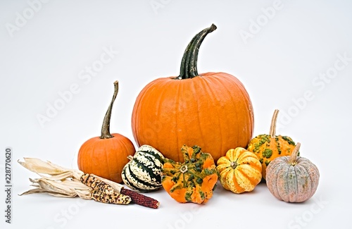 Pumpkin selection  for Halloween on white background