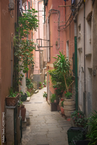 Old street decorated with green plants, Vernazza, Cinque Terre, Italy.