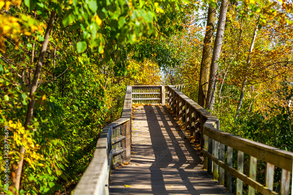 Hamilton, CANADA - October 16, 2018: colorful sunny autumn full of colors in the park near Lake Ontario Hamilton, CANADA - October 16, 2018: colorful sunny autumn full of colors in the park near Lake Ontario