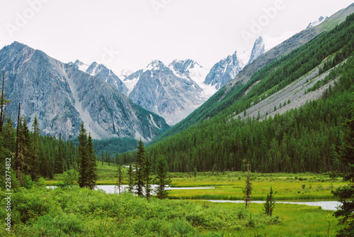 Mountain creek of serpentine shape in valley against snowy mountains. Water stream in brook against glacier. Rich vegetation and forest of highlands. Amazing atmospheric landscape of majestic nature.