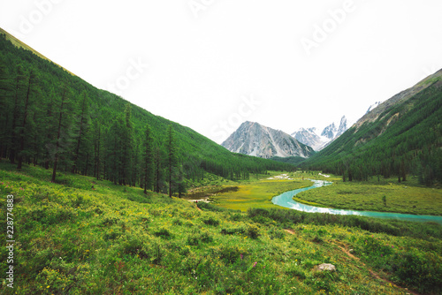 Mountain river of serpentine shape in valley against snowy mountains. Water stream in brook against glacier. Rich vegetation and forest of highlands. Amazing atmospheric landscape of majestic nature. © Daniil