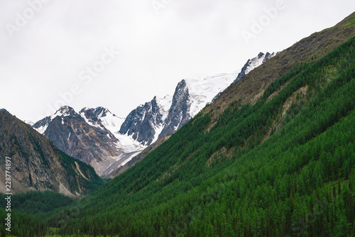 Fototapeta Naklejka Na Ścianę i Meble -  Snowy mountain top behind hill with forest under cloudy sky. Rocky ridge in overcast weather. White snow on glacier. Atmospheric landscape of majestic nature.