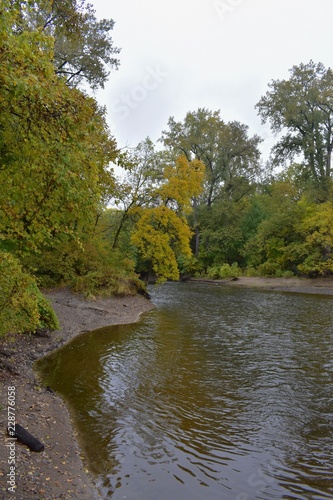 Autumn trees along the river