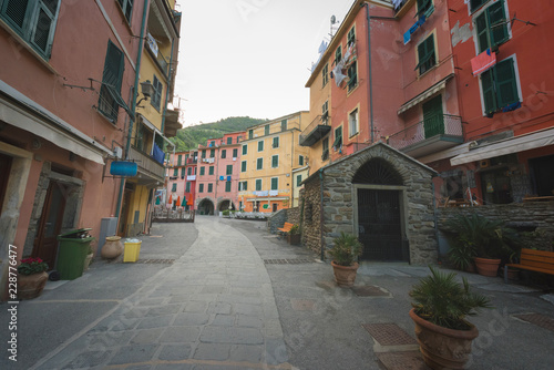 Street in a traditional Italian village Manarola  Cinque Terre  Italy 