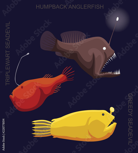 Deep Sea Fish Anglerfish Set Cartoon Vector Illustration