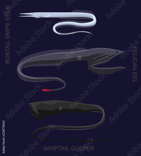 Deep Sea Fish Gulper Eel Set Cartoon Vector Illustration