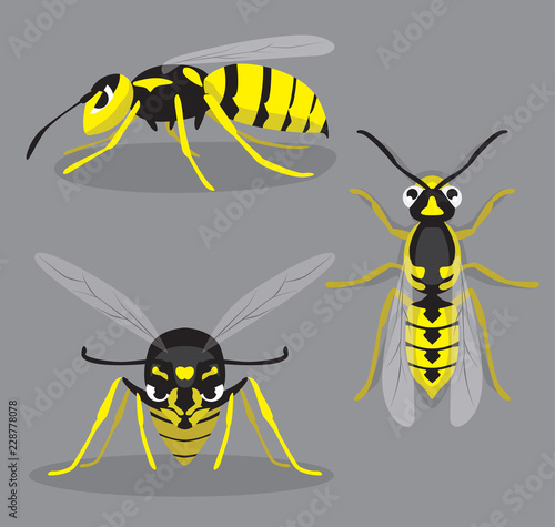 Wasp Poses Cartoon Vector Illustration