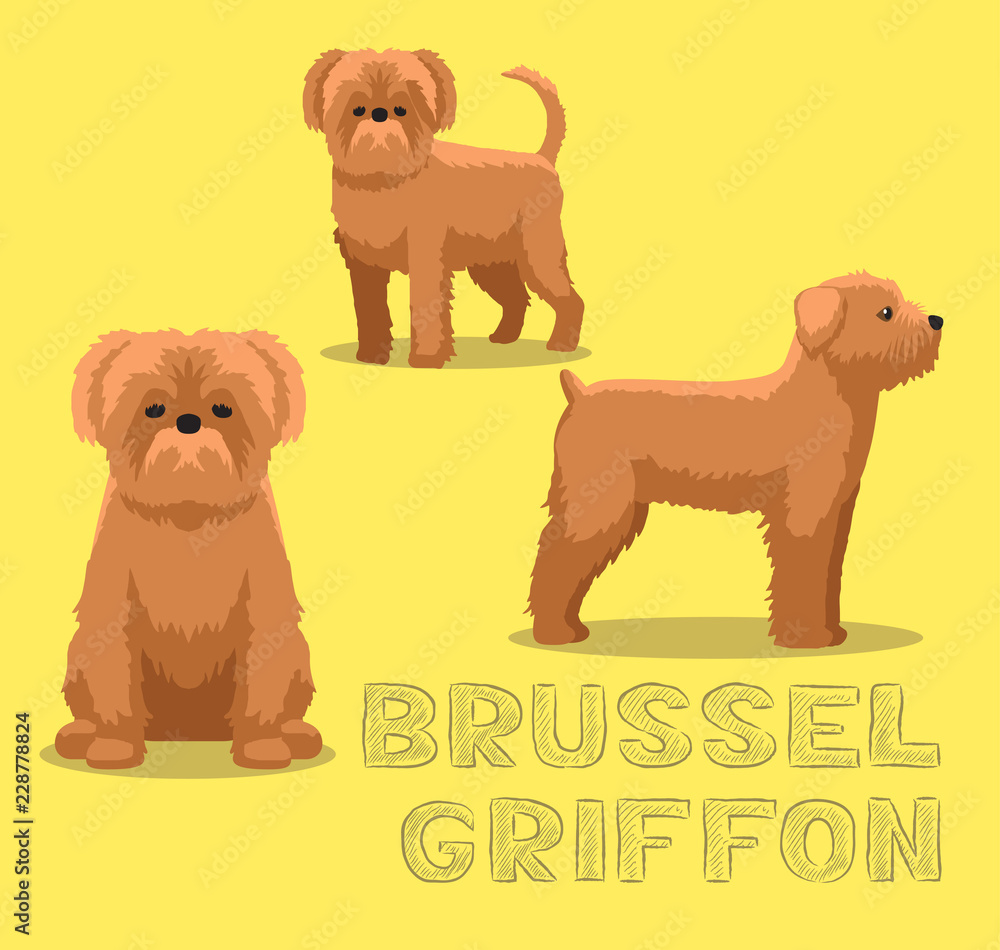 Dog Brussel Griffon Cartoon Vector Illustration Dog Brussel Griffon Cartoon Vector Illustration