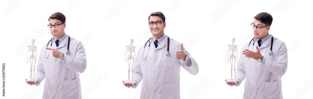Yong male doctor with skeleton isolated on white Yong male doctor with skeleton isolated on white
