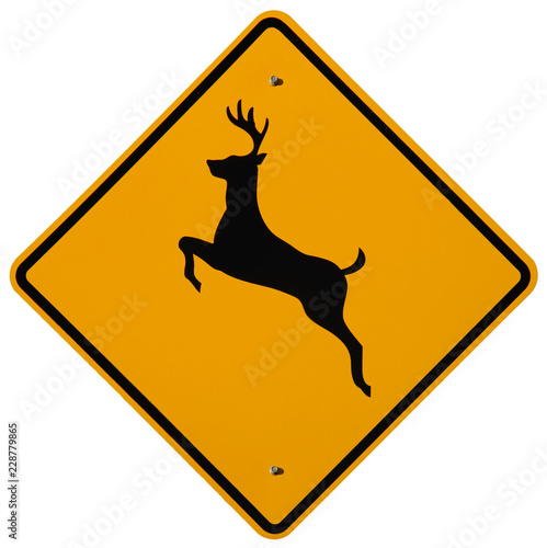 Deer Crossing