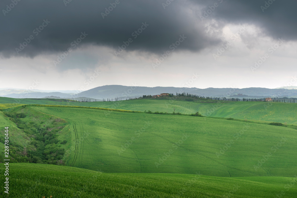 Tuscany, rural landscape. Countryside farm, cypresses trees, green field, cloudy day. Italy, Europe