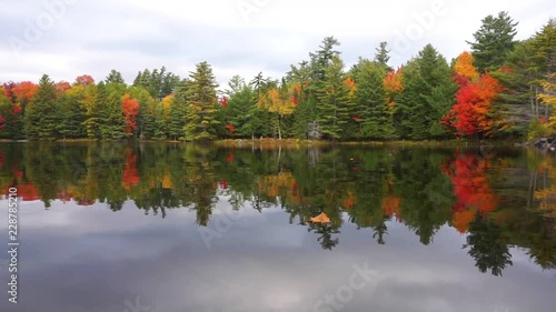 Fall leaves around a small pond in Adirondack State Park, upstate New York. photo