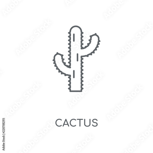cactus icon