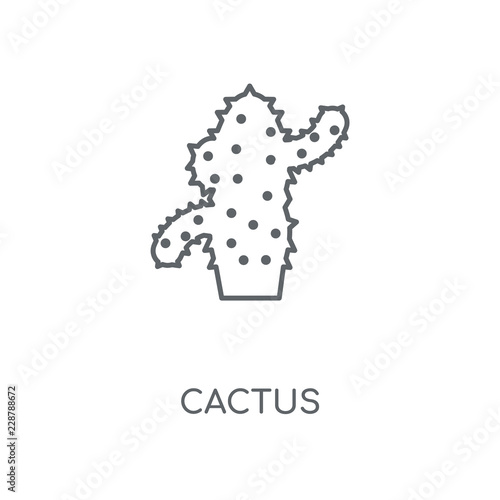 cactus icon