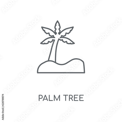 palm tree icon