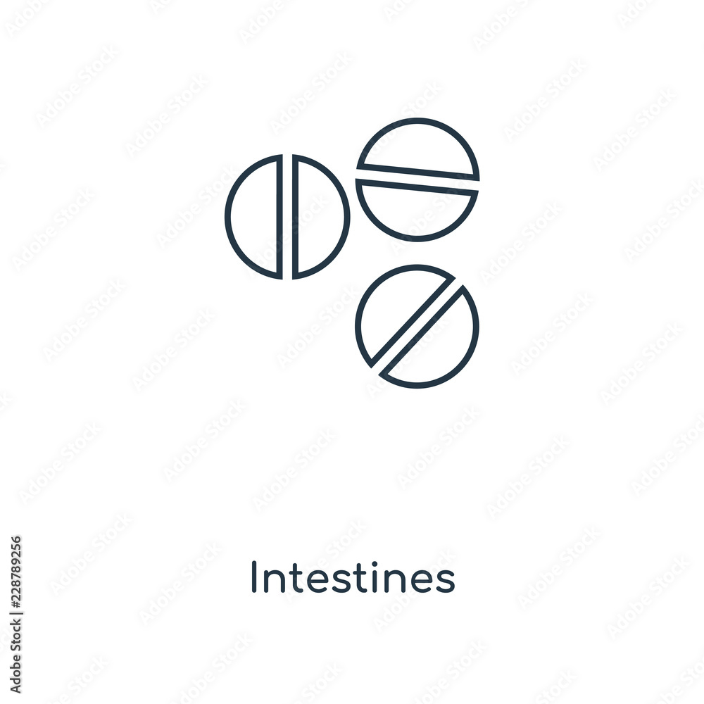 intestines icon vector