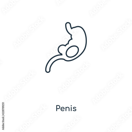 penis icon vector