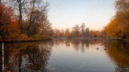 reflection of trees in water © Rodion