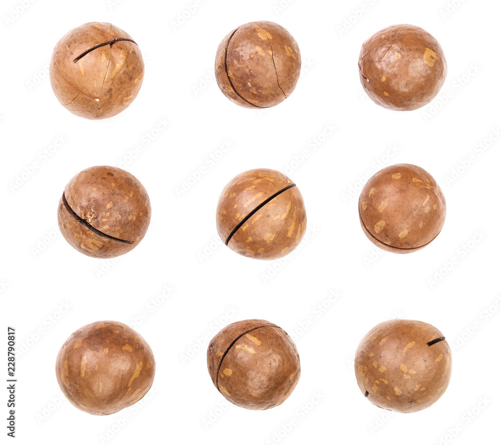 Shelled and unshelled macadamia nuts isolated on white background. Top view. Flat lay pattern. Set or collection Shelled and unshelled macadamia nuts isolated on white background. Top view. Flat lay pattern. Set or collection