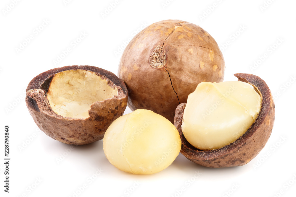 Shelled and unshelled macadamia nuts isolated on white background Shelled and unshelled macadamia nuts isolated on white background