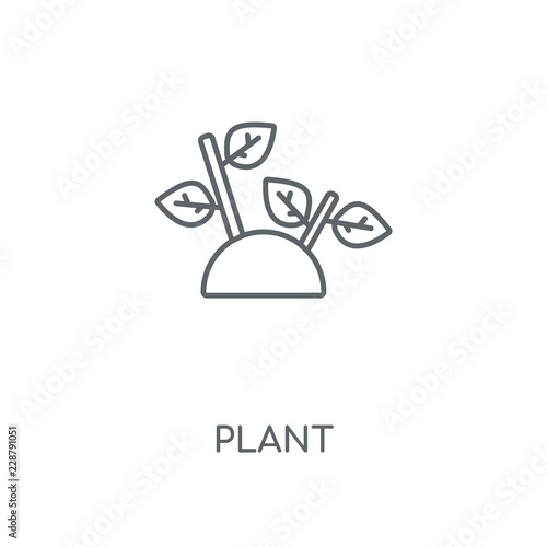 plant icon photo