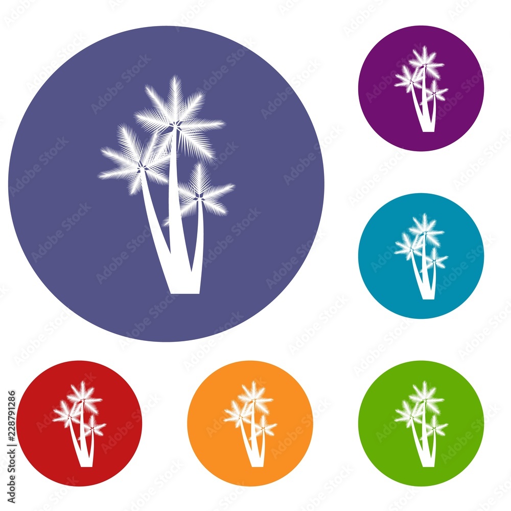 Three tropical palm trees icons set in flat circle reb, blue and green color for web Three tropical palm trees icons set in flat circle reb, blue and green color for web